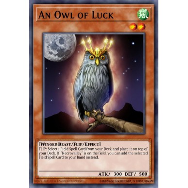 Un Gufo della Fortuna