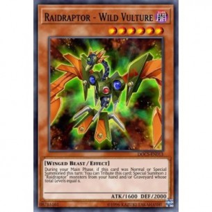 Raidraptor - Avvoltoio...