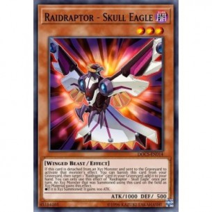 Raidraptor - Aquila Teschio