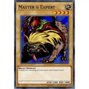 Master & Expert (V.1 - Common)