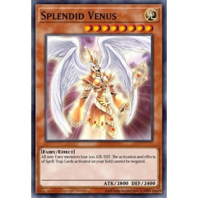 Venere Splendida