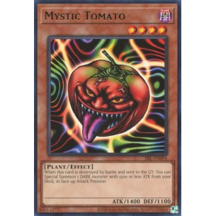 Mystic Tomato