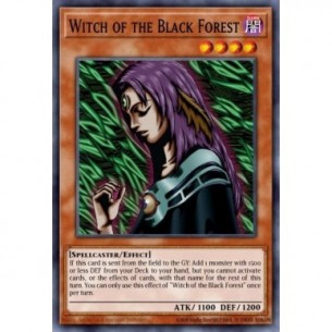 Witch of the Black Forest