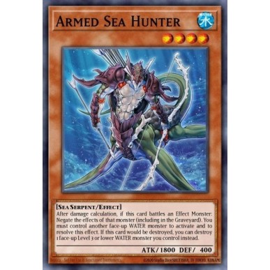 Armed Sea Hunter