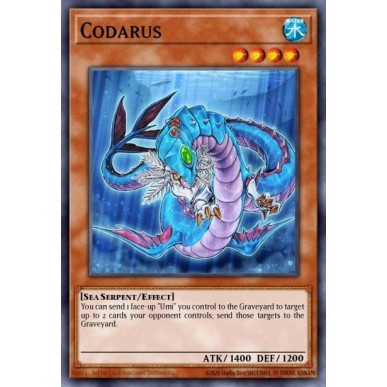 Codarus