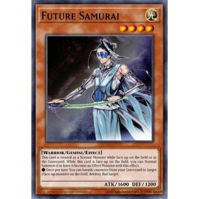 Samurai Futuro