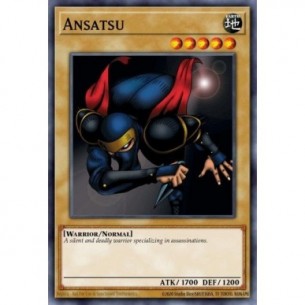 Ansatsu l'Assassino