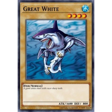 Mega Squalo Bianco