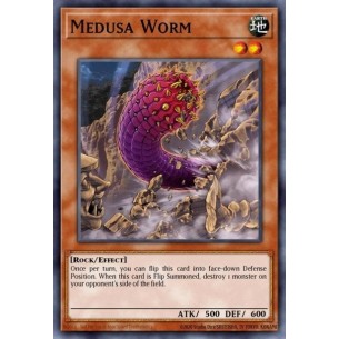 Verme Medusa