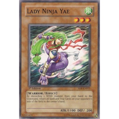 Lady Ninja Yae