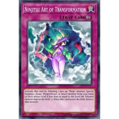 Ninjitsu Art of Transformation