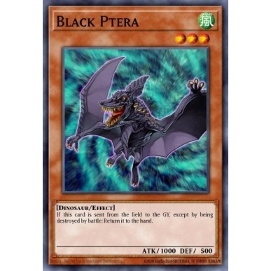 Pterodattilo Nero