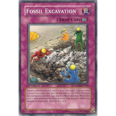 Scavo Fossile