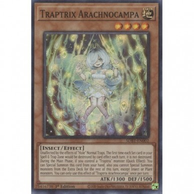Trappolatrice Arachnocampa