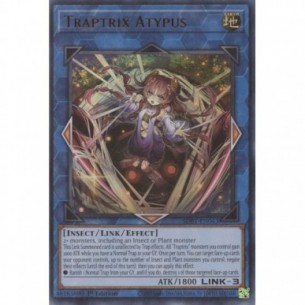 Trappolatrice Atypus