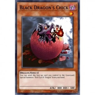 Black Dragon's Chick