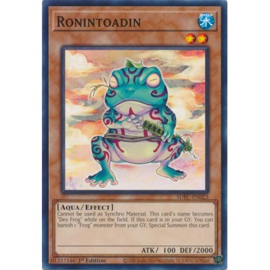 Rospetto Ronin