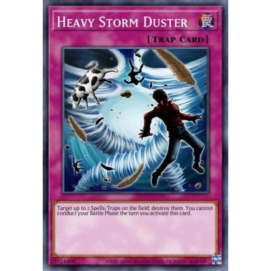 Heavy Storm Duster