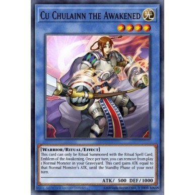 Cú Chulainn il Risvegliato