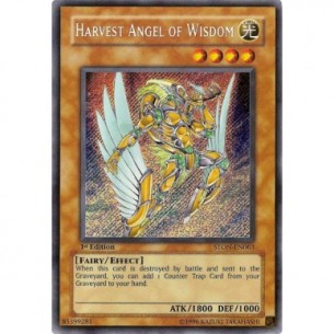 Harvest Angel of Wisdom