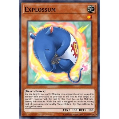 Esplo-possum
