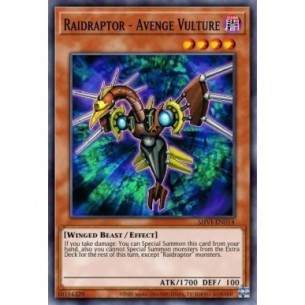 Raidraptor - Avvoltoio...