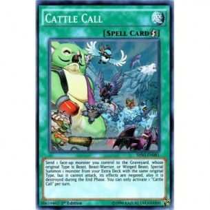 Cattle Call