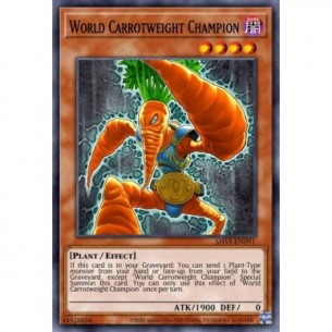 World Carrotweight Champion