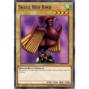 Uccello Teschio Rosso