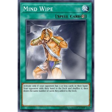 Mind Wipe
