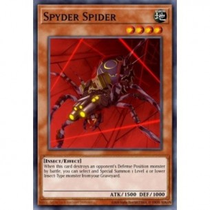 Spyder Spider