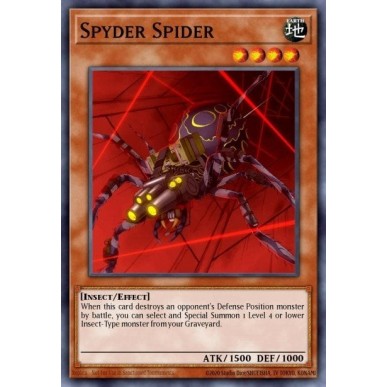 Ragno Spyder