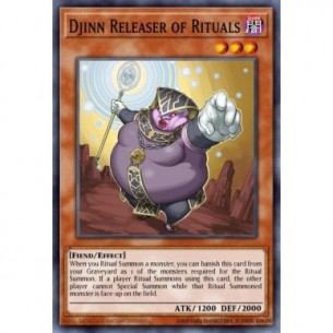 Djinn Releaser of Rituals