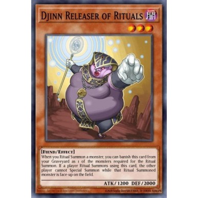 Djinn Releaser of Rituals