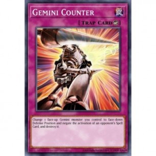 Gemini Counter