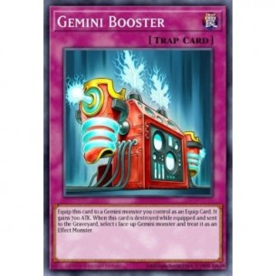 Gemini Booster