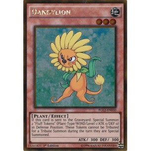 Dandylion