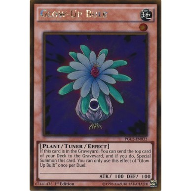 Glow-Up Bulb