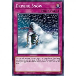 Driving Snow (V.1 - Common)