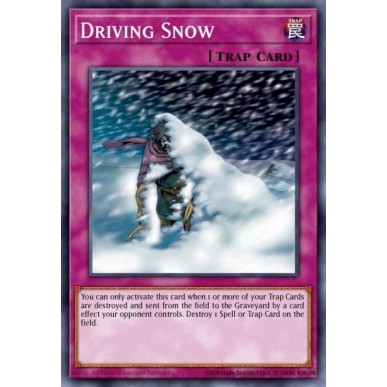 Driving Snow (V.1 - Common)