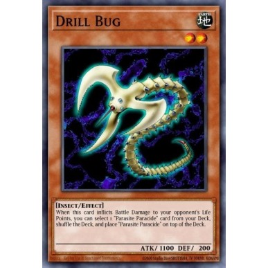 Drill Bug (V.1 - Common)