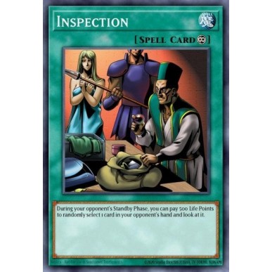 Inspection (V.2 - Common)
