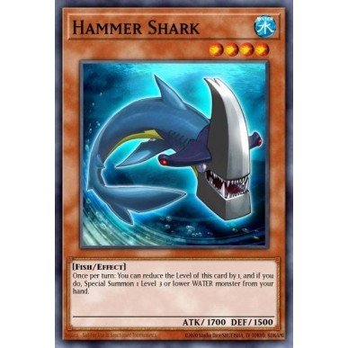 Hammer Shark (V.1 - Common)