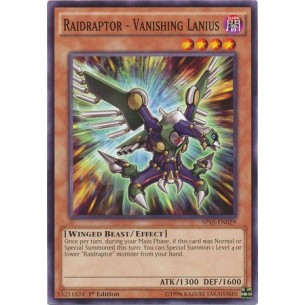 Raidraptor - Vanishing...