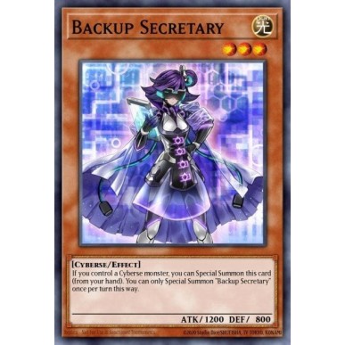 Backup Secretary (V.1 - Common)