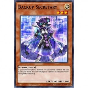 Backup Secretary (V.2 -...
