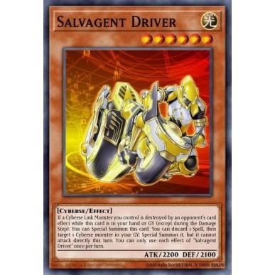 Salvagent Driver (V.1 - Common)