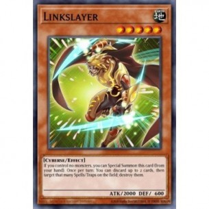 Linkslayer (V.2 - Starfoil...