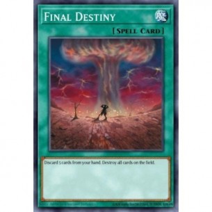 Destino Finale (V.1 - Common)