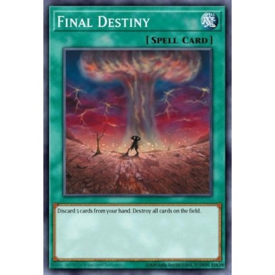 Destino Finale (V.1 - Common)